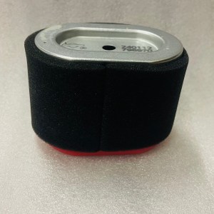 Briggs and Stratton 127cc Air Filter